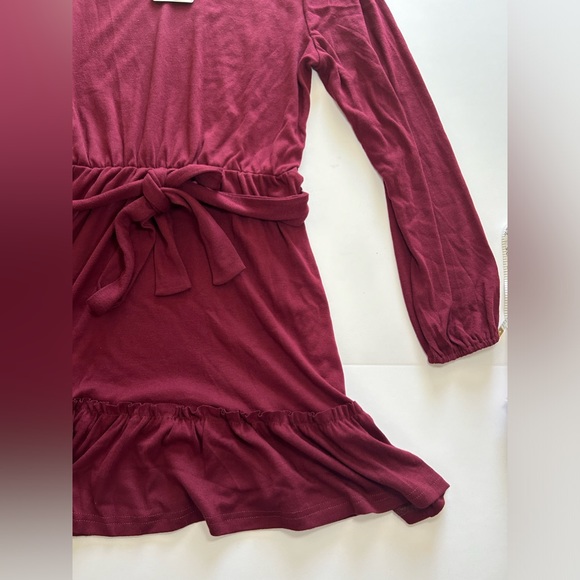 Alaster Queen Cotton Long Sleeve Mini Dress Burgundy size Medium - Picture 5 of 8